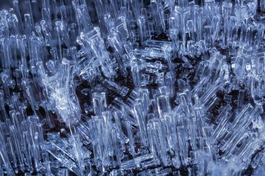 Buz kristalleri doğada ağaçta oluşmuş. Soyut doğa. Soğuk kış günü