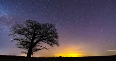 Huzurlu, yıldızlı bir gece gökyüzü güzel bir şekilde ufuk çizgisinde hafif, yumuşak bir ışıkla aydınlanır.