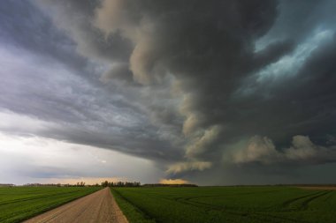 Litvanya 'daki tarlalarda hızla ilerleyen süper hücre fırtınası, kara fırtına bulutları....