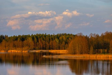 Canlı ve renkli günbatımı renkleriyle Serene Gölü yansıması. Litvanya. Nava Gölü.