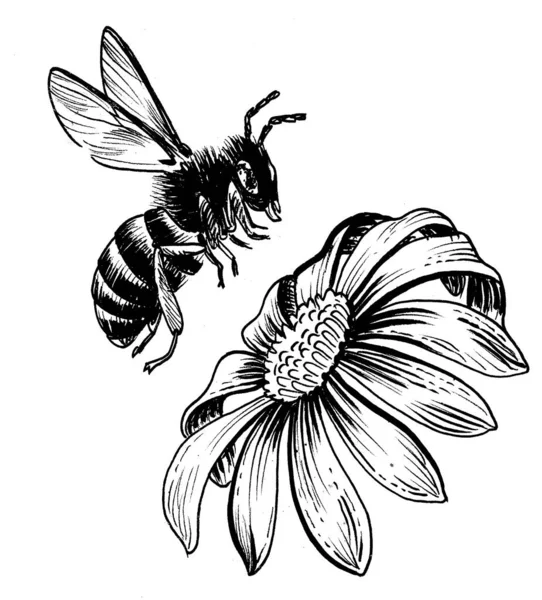 Repülő Méh Virágzó Virág Tinta Fekete Fehér Rajz — Stock Fotó