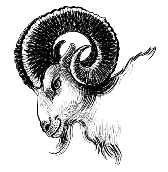 Ram Głowa Czarno Biały Rysunek Atramentu — Zdjęcie stockowe