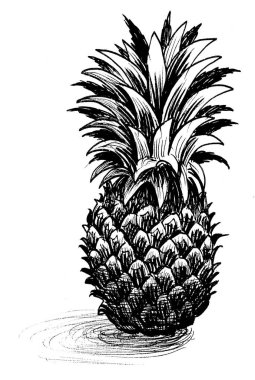 Ananas meyvesi. Mürekkep siyah beyaz çizim