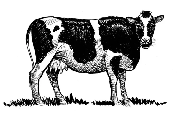 放牧的奶牛 墨水黑白画 — 图库照片
