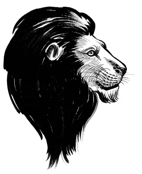 ライオン頭 墨と白のドローイング — ストック写真