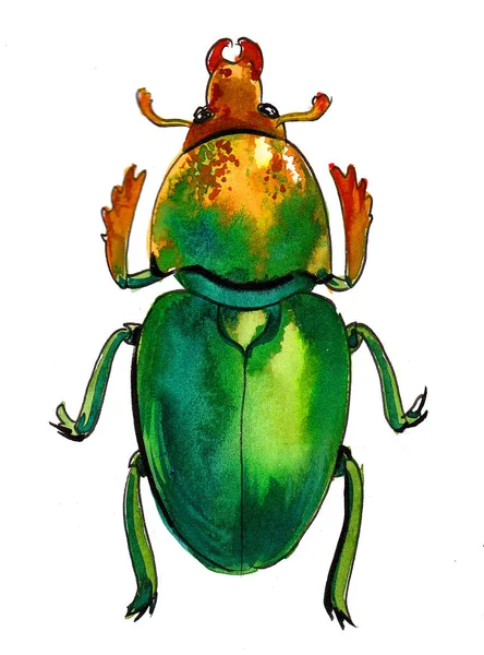 Escarabajo Verde Sobre Fondo Blanco Dibujo Tinta Acuarela — Foto de Stock