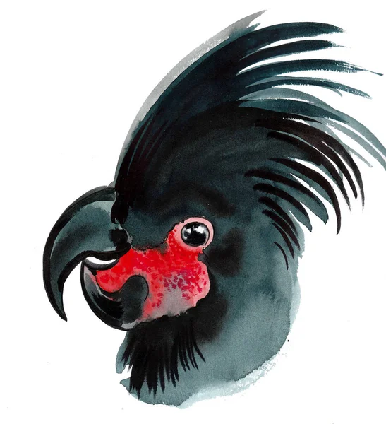 Zwarte Papegaai Vogel Inkt Aquareltekening — Stockfoto