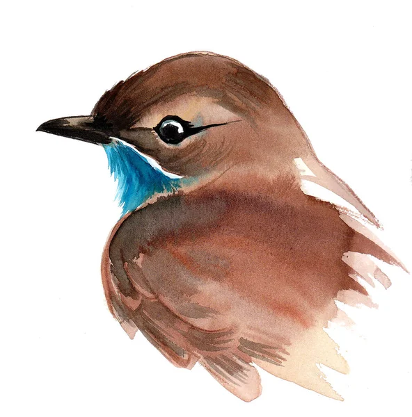 Brunt Fågelhuvud Bläck Och Akvarell Ritning — Stockfoto