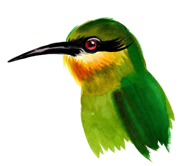 Zielony Ptak Długim Dziobem Rysunek Atramentu Akwareli — Zdjęcie stockowe