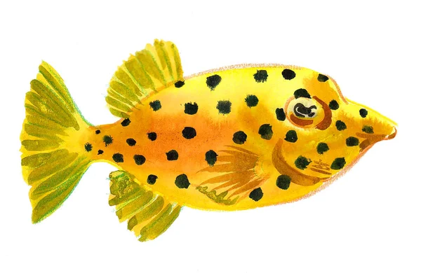 Ikan Kuning Dengan Titik Hitam Gambar Tinta Dan Cat Air — Stok Foto