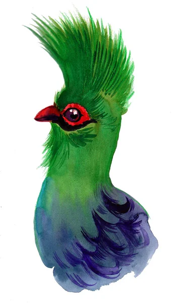 Cabeza Pájaro Tropical Verde Dibujo Tinta Acuarela — Foto de Stock
