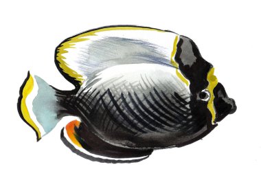 Beyaz arka planda mercan balığı. Mürekkep ve suluboya çizim