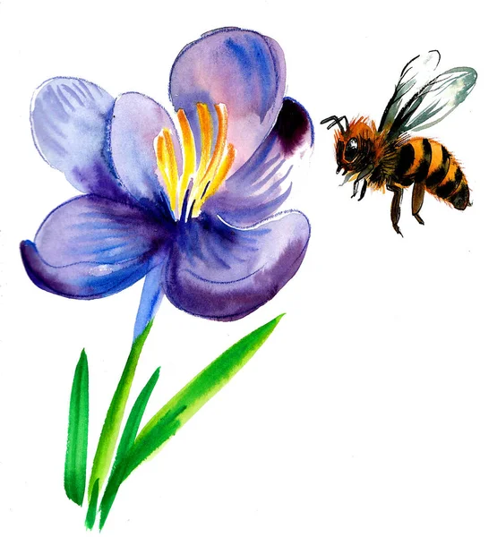 Virágzó Lila Virág Repülő Méh Tinta Akvarell Rajz — Stock Fotó