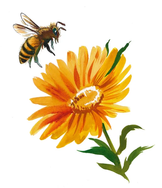 Sárga Virág Repülő Méh Tinta Akvarell Rajz — Stock Fotó