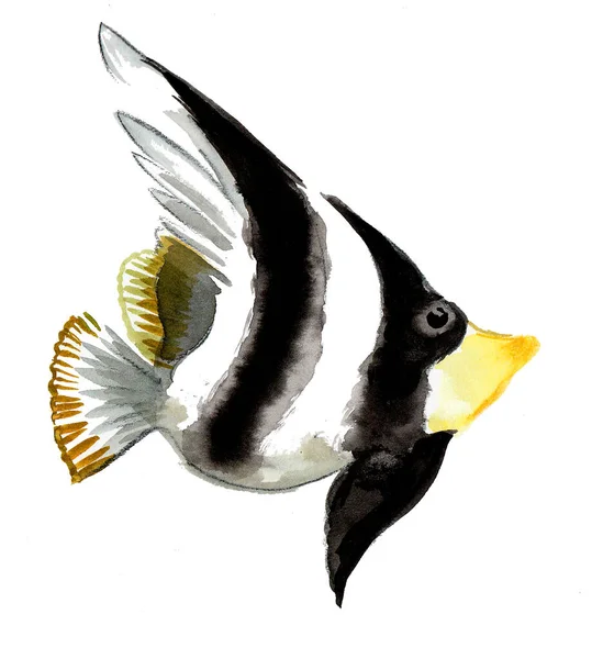 Korálové Tropické Ryby Bílém Pozadí Kresba Inkoustem Akvarelem — Stock fotografie