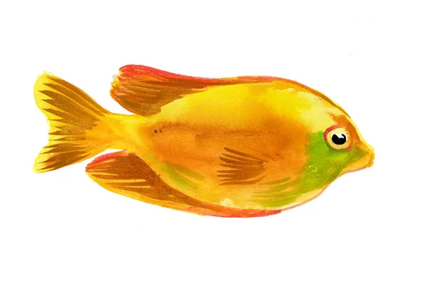 Κίτρινα Τροπικά Ψάρια Λευκό Φόντο Σχέδιο Μελανιού Και Ακουαρέλας — Φωτογραφία Αρχείου