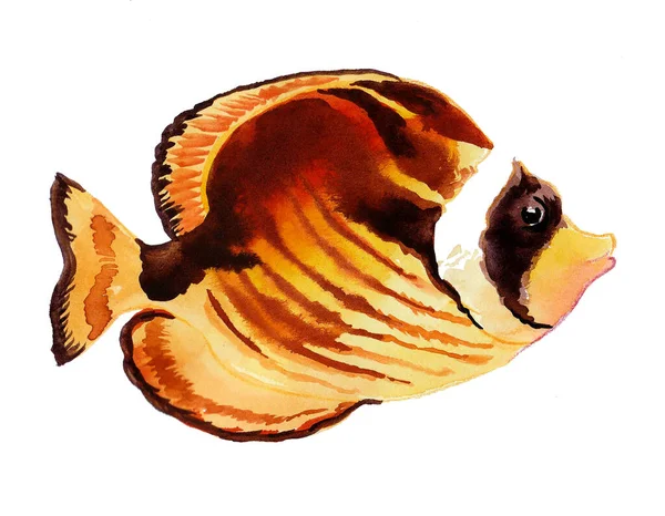Korálové Ryby Bílém Pozadí Kresba Inkoustem Akvarelem — Stock fotografie