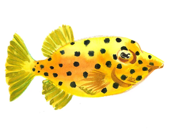 Ikan Karang Kuning Dengan Titik Titik Hitam Gambar Tinta Dan — Stok Foto