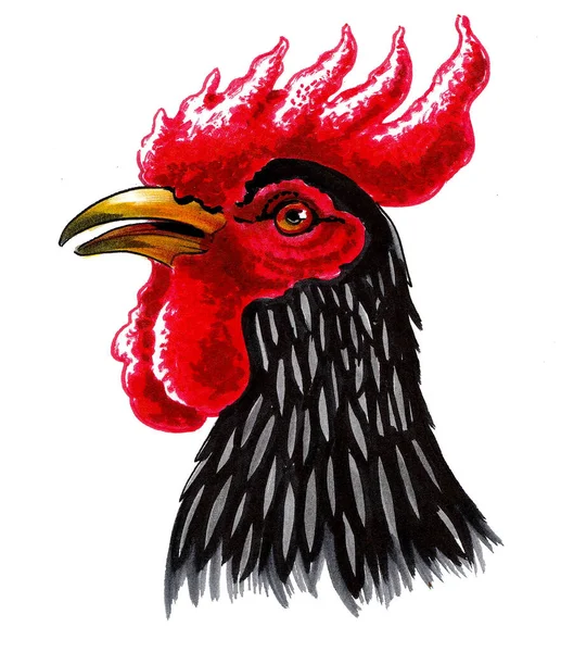 黑色的公鸡鸟 墨水和水彩画 — 图库照片