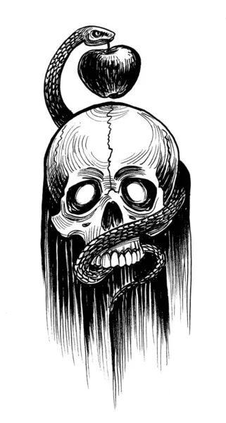 人的头骨和蛇与苹果果 墨水黑白画 — 图库照片