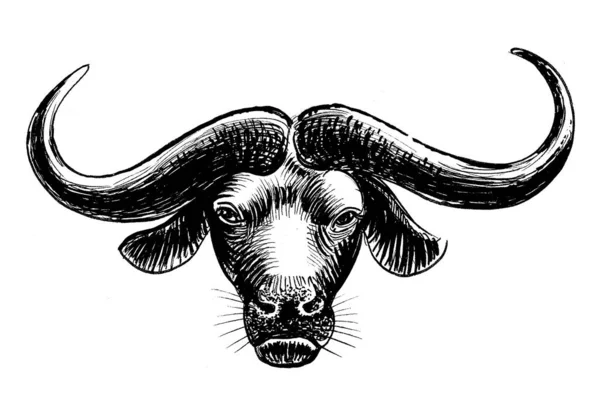 Buffalo Bull Head Ink Black White Drawing — Stock Photo, Image