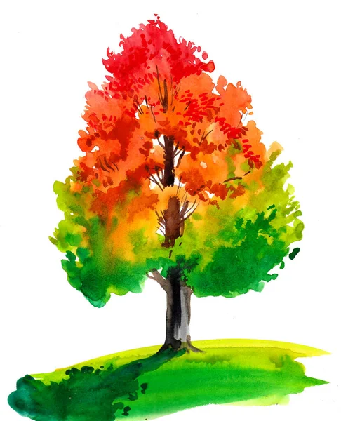 Sonbahar Ağacı Mürekkep Suluboya Resim — Stok fotoğraf