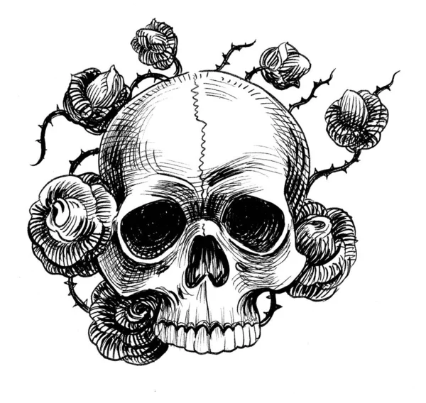人类的头骨和玫瑰墨水黑白画 — 图库照片