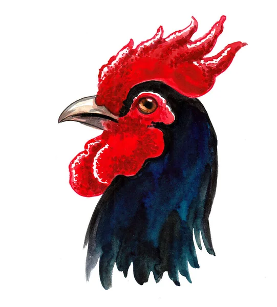 Black Rooster Head White Background Ink Watercolor Drawing — Stock Photo, Image