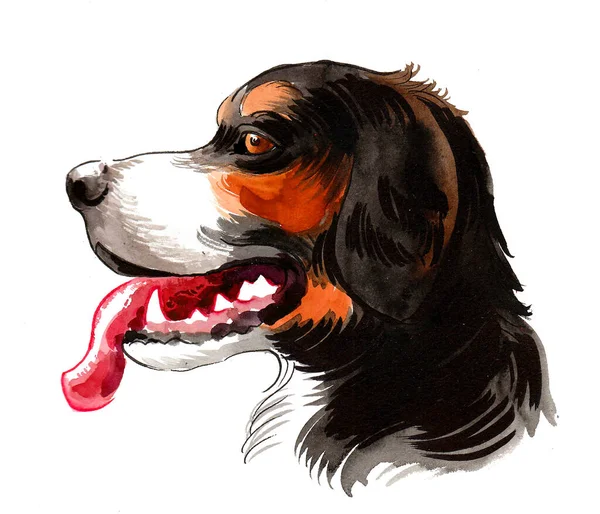 犬の頭だ 水墨画 — ストック写真