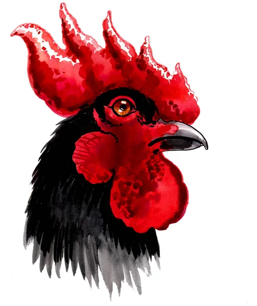 黑色的公鸡头 墨水和水彩画 — 图库照片