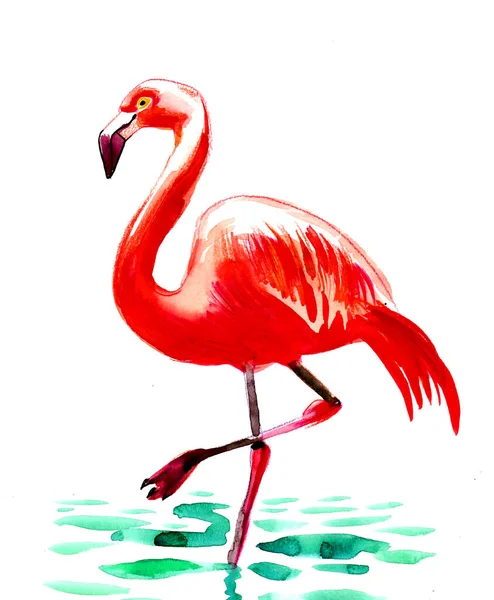 Птица Фламинго Чернила Акварель — стоковое фото