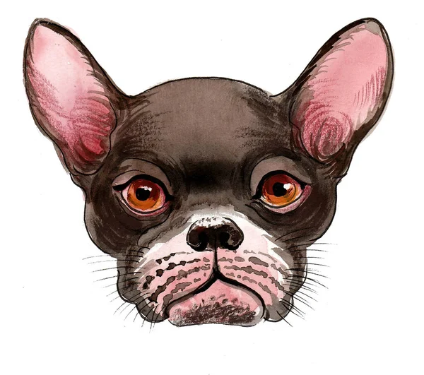 Cute Puppy Dog Ink Watercolor Drawing — Stock Photo, Image