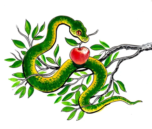 Πράσινο Φίδι Κόκκινα Φρούτα Μήλου Σχέδιο Μελανιού Και Ακουαρέλας — Φωτογραφία Αρχείου