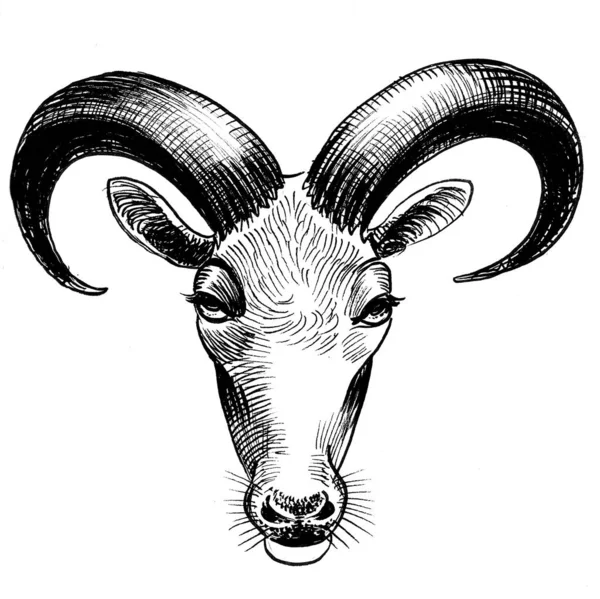 Antilop Kafası Mürekkep Siyah Beyaz Çizim — Stok fotoğraf