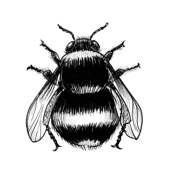 Big Bumblebee Ink Black White Drawing — Stock Photo, Image
