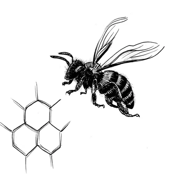 Latające Pszczoły Plastry Miodu Ręcznie Rysowany Tusz Papierze Stylu Retro — Zdjęcie stockowe