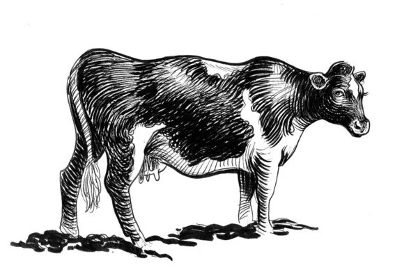 Stojąca Krowa Ręcznie Rysowany Tusz Papierze Czarno Biały Rysunek — Zdjęcie stockowe