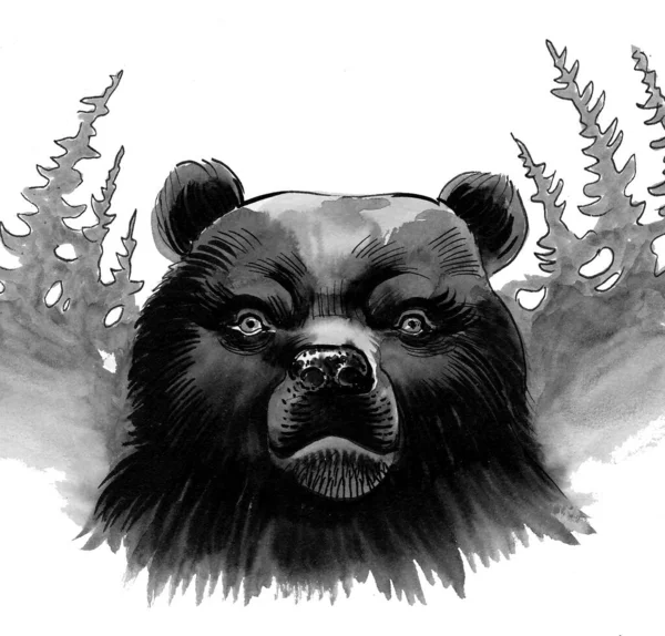 Angry bear in the woods. Hand-drawn ink on paper black and white illustration