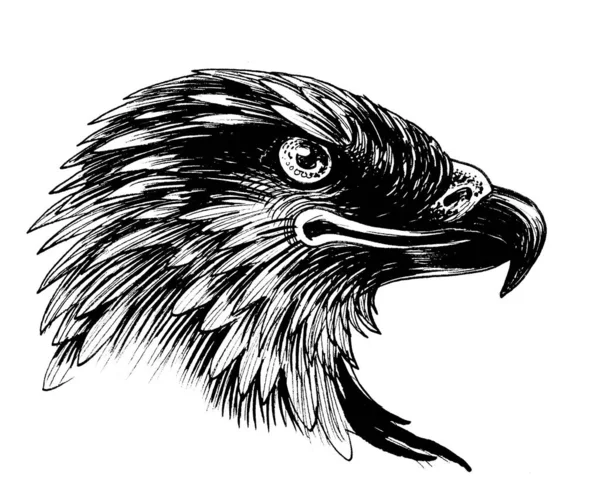 Cabeza Águila Tinta Dibujada Mano Sobre Papel Ilustración Blanco Negro — Foto de Stock