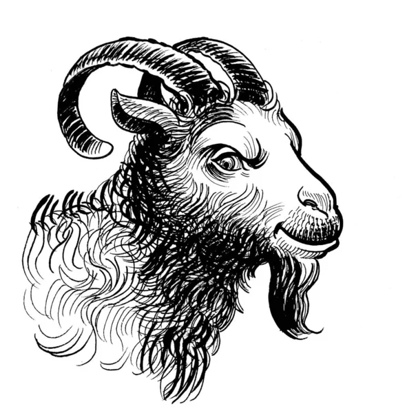 山羊的头 白纸黑字插图上的手绘墨水 — 图库照片