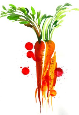 Beyaz arka planda bir sürü havuç. El yapımı mürekkep ve kağıda sıçramış suluboya.