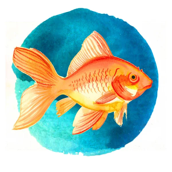 Golden Fish Blue Water Hand Drawn Ink Watercolor Paper — Stock Photo, Image