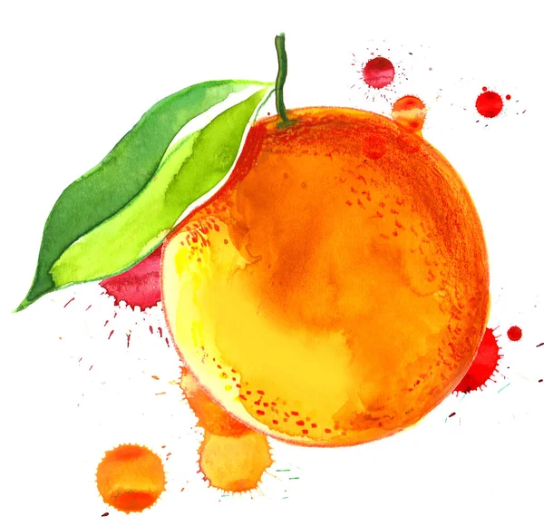 Fruta Naranja Con Salpicaduras Tinta Dibujada Mano Acuarela Sobre Papel —  Fotos de Stock