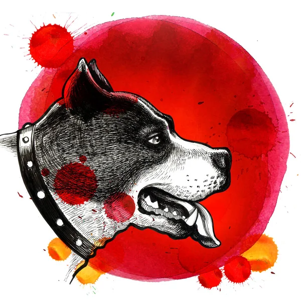 Big Dog Head Splatters Hand Drawn Ink Watercolor Paper — Stock Photo, Image