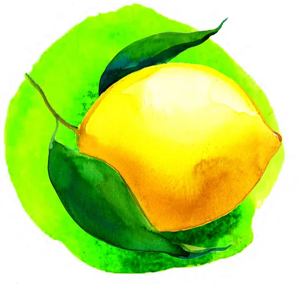 Fruto Amarillo Limón Sobre Fondo Verde Tinta Dibujada Mano Acuarela — Foto de Stock
