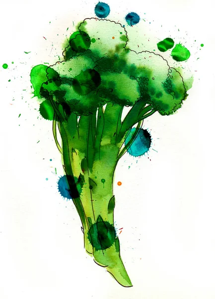Green Broccoli White Background Hand Drawn Ink Watercolor Splatters Paper — Stock Photo, Image