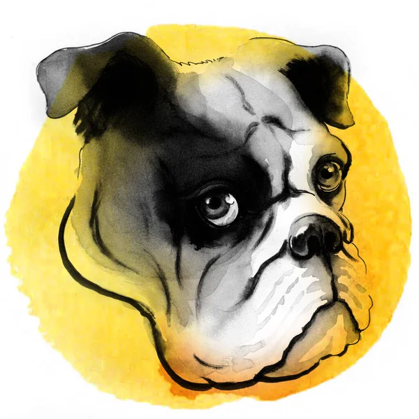 Cute Bull Dog Puppy Yellow Background Hand Drawn Ink Watercolor — Stock Photo, Image