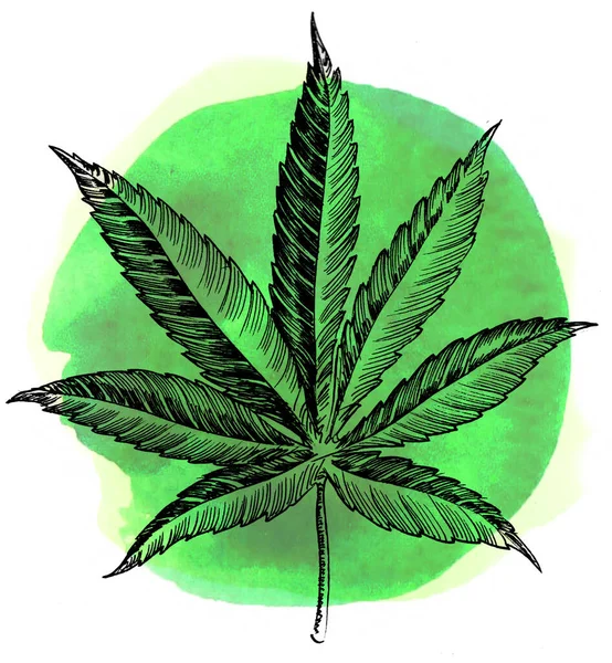 Feuille Cannabis Sur Fond Vert Encre Dessinée Main Aquarelle Avec — Photo