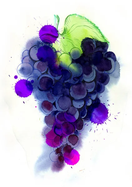 Bouquet Raisins Violets Sur Fond Blanc Encre Dessinée Main Aquarelle — Photo