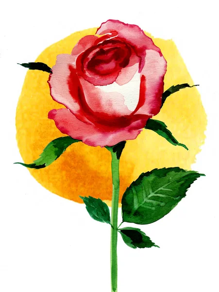 Czerwony Kwiat Róży Żółtym Tle Ręcznie Rysowany Tusz Akwarela Papierze — Zdjęcie stockowe